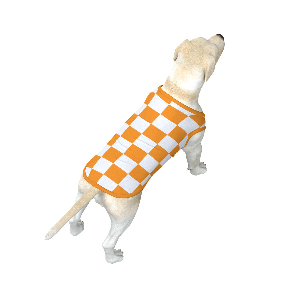 Checkerboard Big Dog's Tank Top