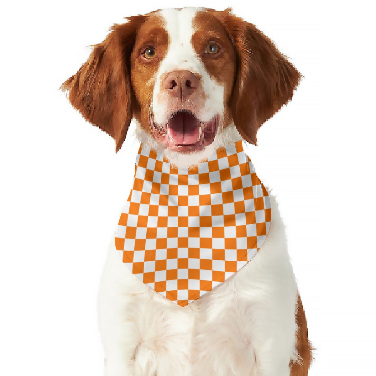 Checkerboard Pet's Scarf